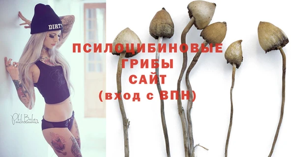 амф Беломорск